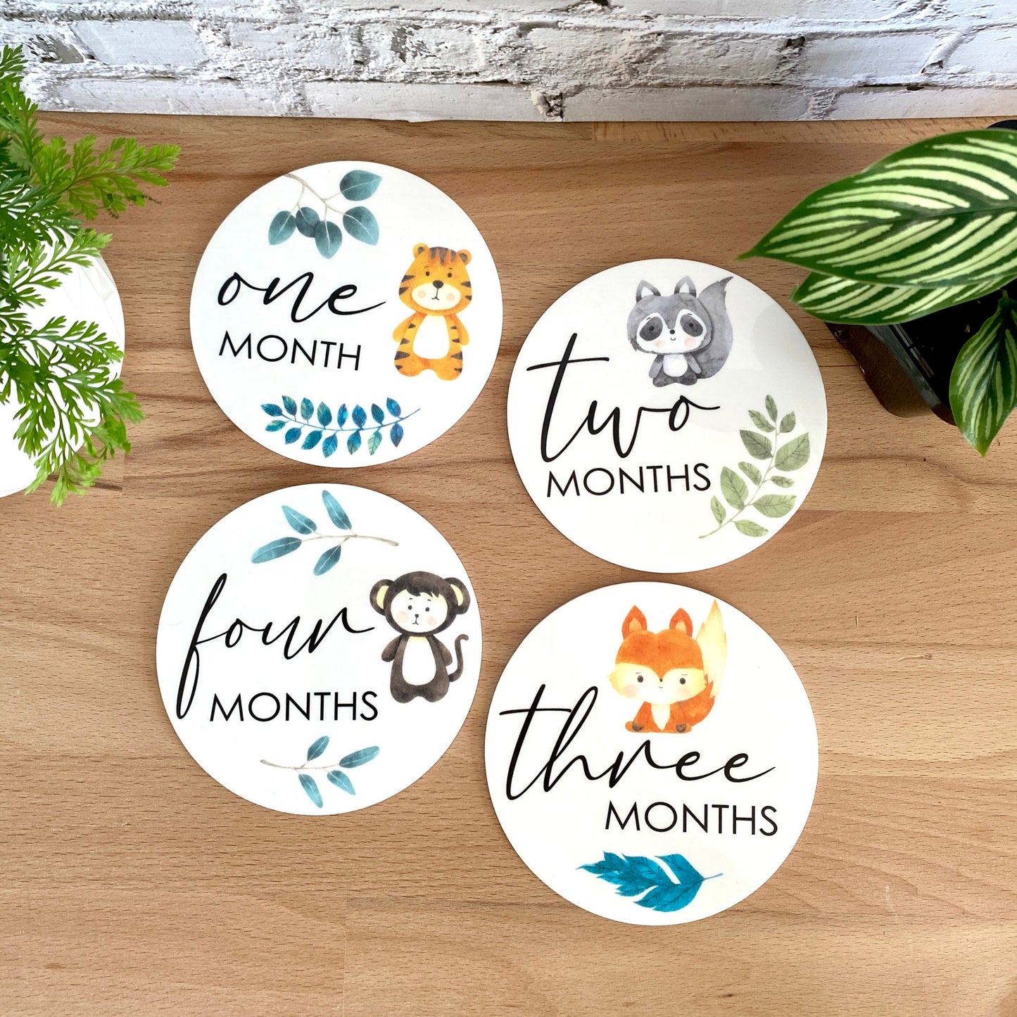 Baby Milestone Disc - Cute Jungle Safari Animals - acrylic