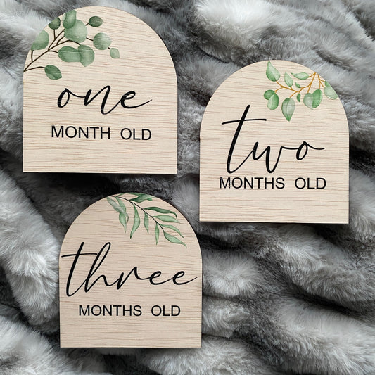 Botanical Baby Milestone Discs – UV Printed Wooden Arch Set